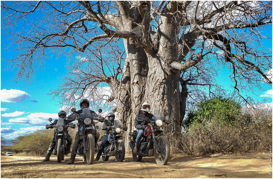 2022 07 Tanzanie 316 (6)